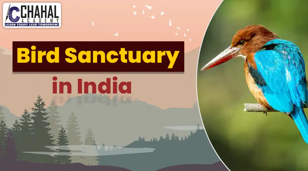 Bird Sanctuary in India