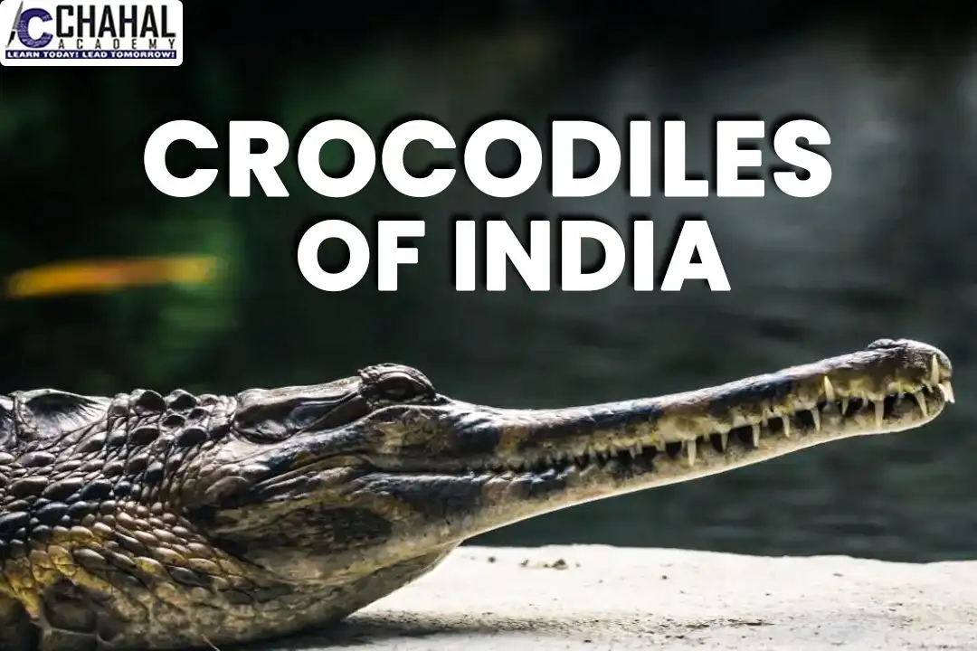 Crocodiles of India