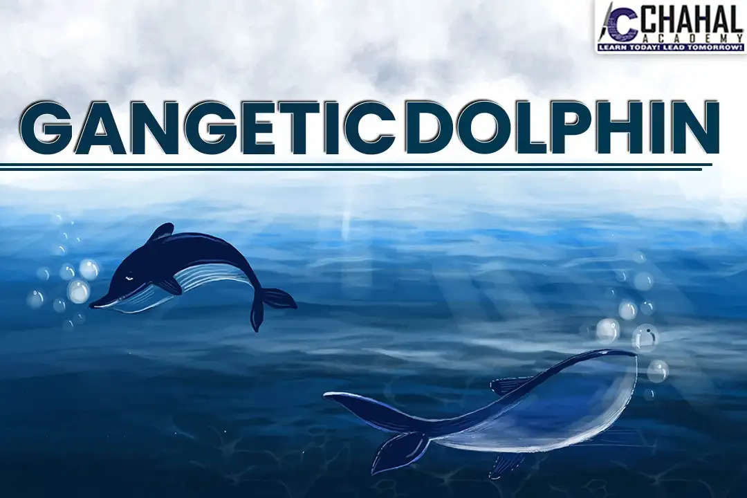 Gangetic Dolphin