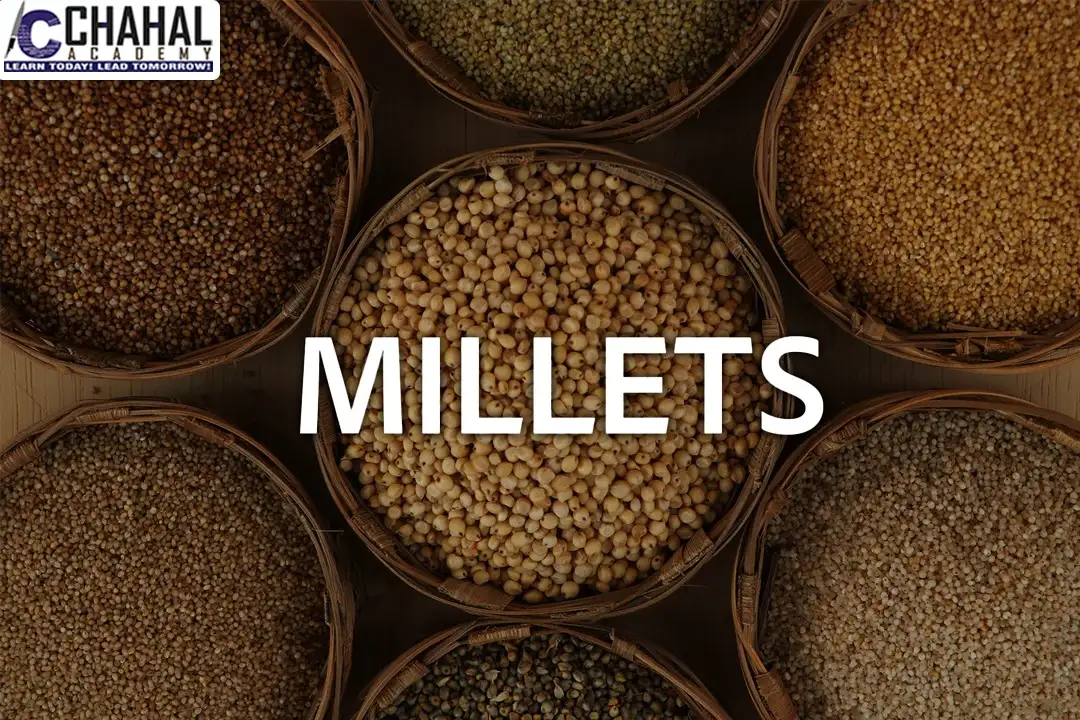 Millets