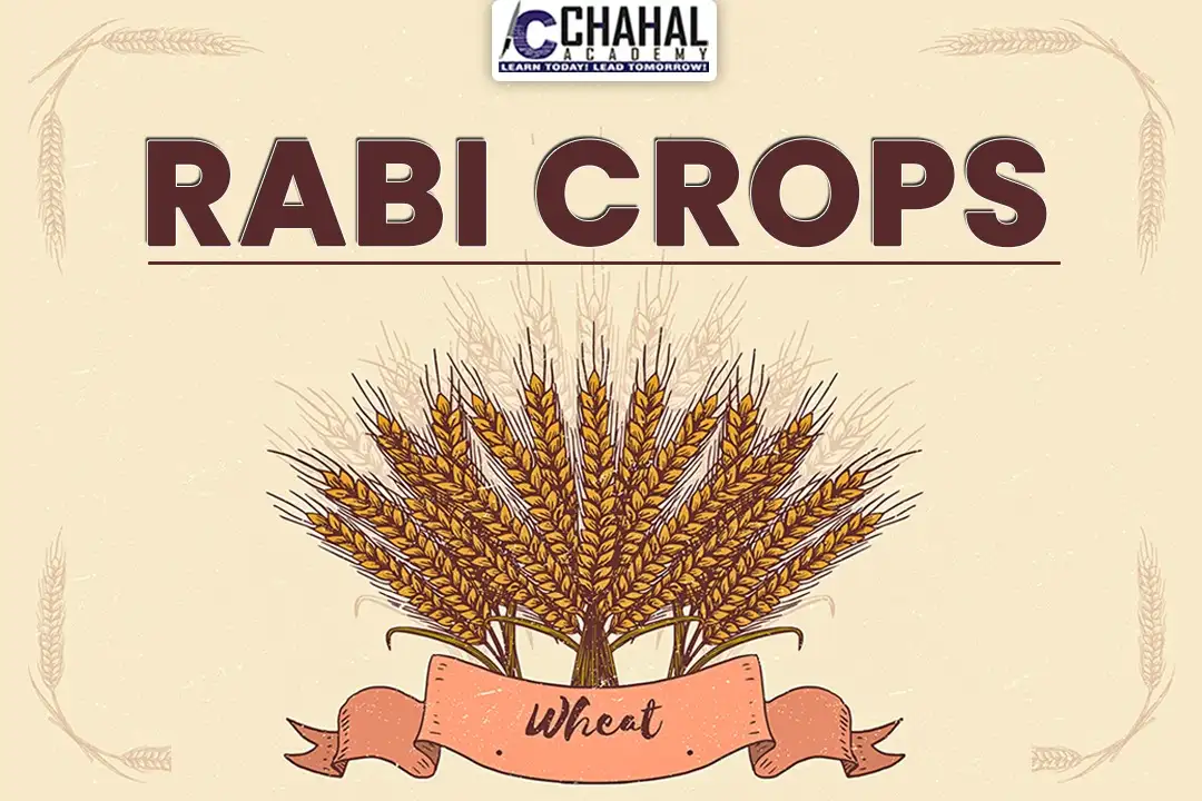 Rabi Crops