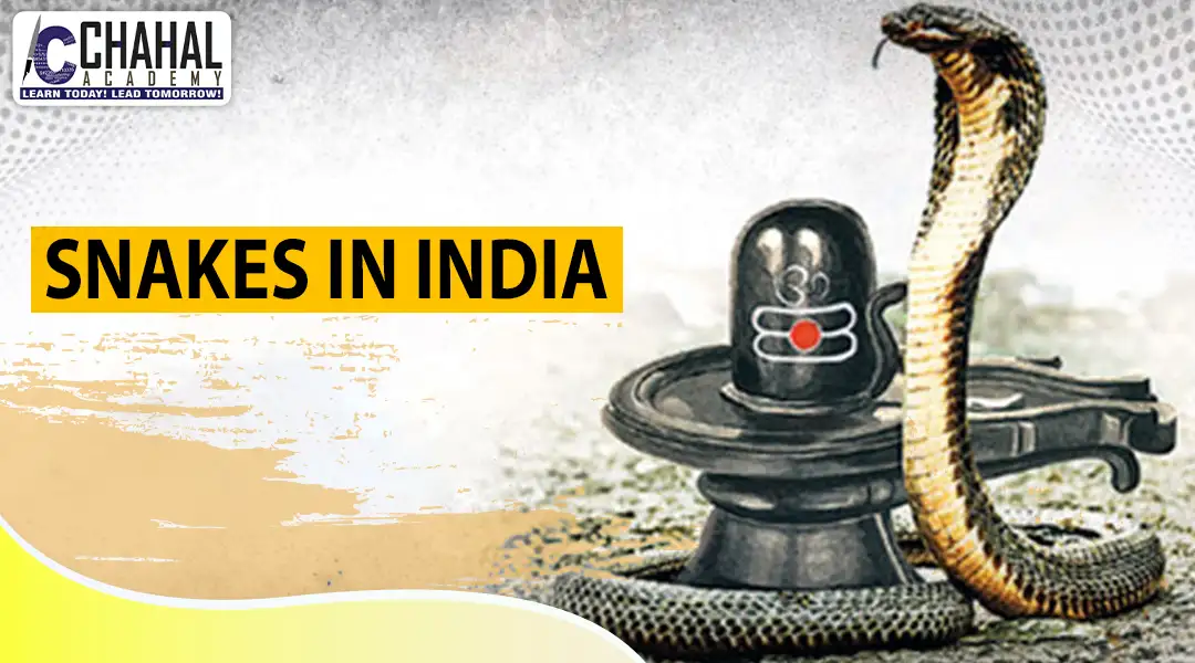 Snakes in India