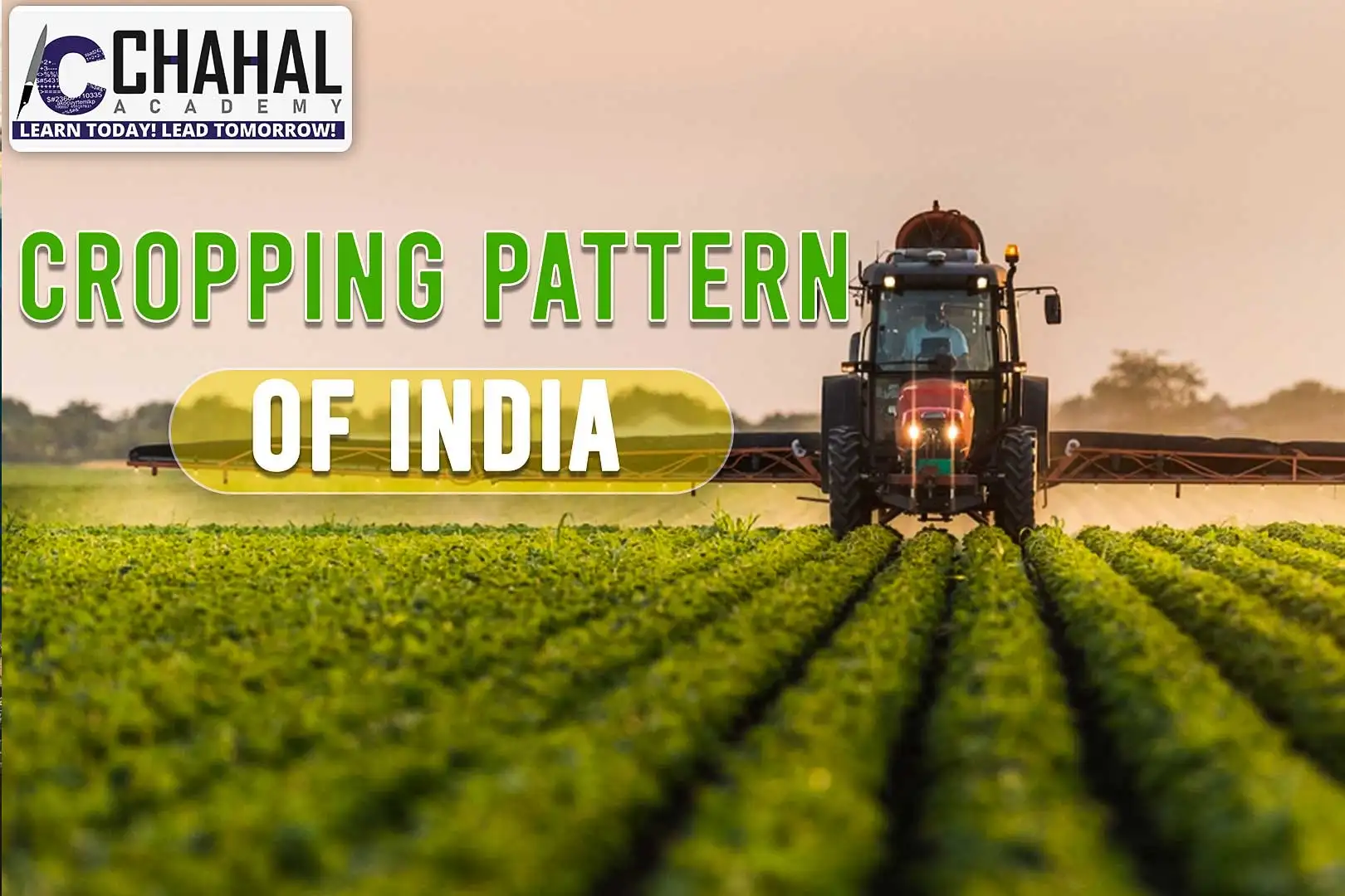 Cropping Pattern of India