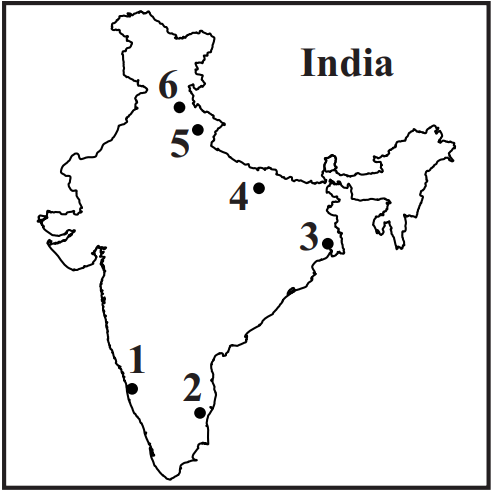MCQ Question Image